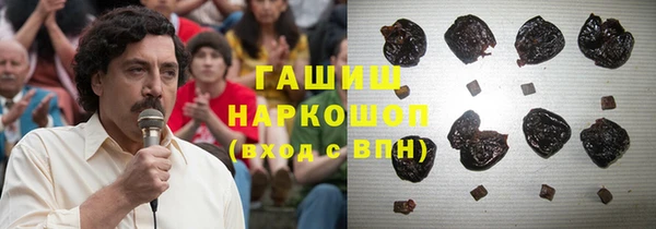 гидра Михайловка