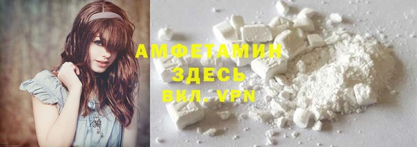 гидра Михайловка