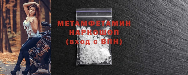 гидра Михайловка