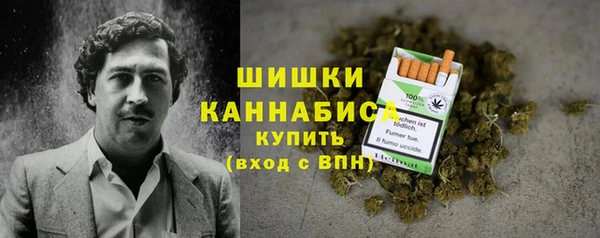 гидра Михайловка